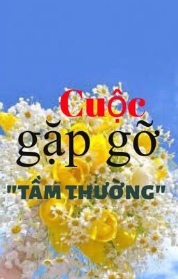 Cuộc gặp gỡ 