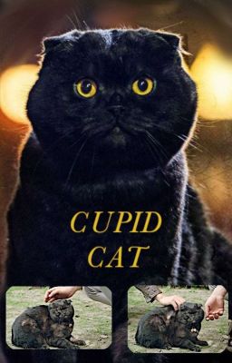 Cupid Cat [✔]