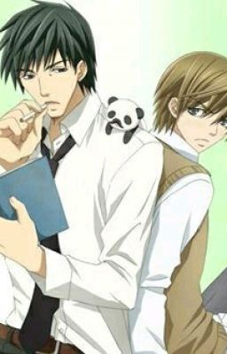 Curiosidades de Junjou Romantica y Sekaiichi Hatsukoii 