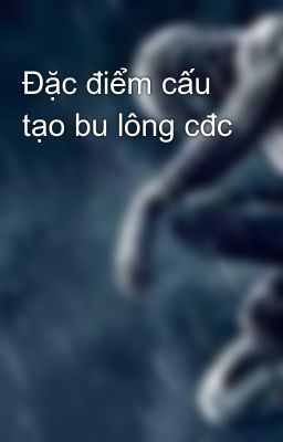 Đặc điểm cấu tạo bu lông cđc