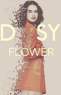 DAISY FLOWER ➱ ADMIN BOOK