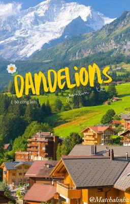'Dandelions'