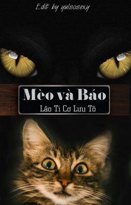 [Đang edit][Bách Hợp][Cao H] Mèo và Báo - Lão Ti Cơ Lưu Tô