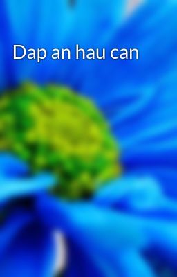 Dap an hau can