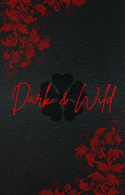 DARK & WILD • YUNOASTA