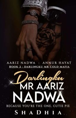 Darlingku Mr Aariz Nadwa (ONGOING)