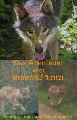 Das Abenteuer von Grauwolf Fritzi