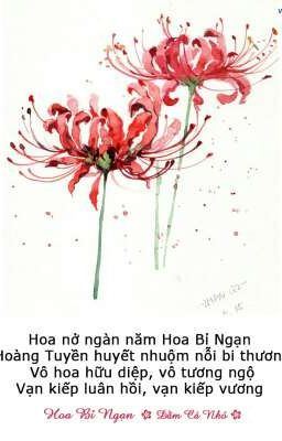 Đau Thương Hoa Bỉ Ngạn