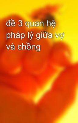 đề 3 quan hệ pháp lý giữa vợ và chồng