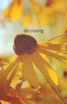 de cuong