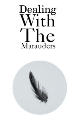 Dealing With The Marauders