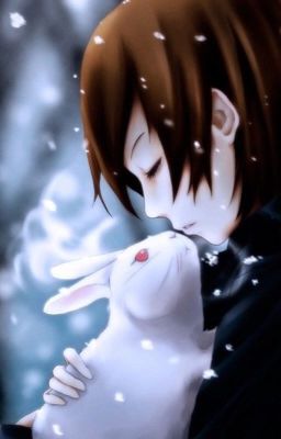 Dear my rabbit