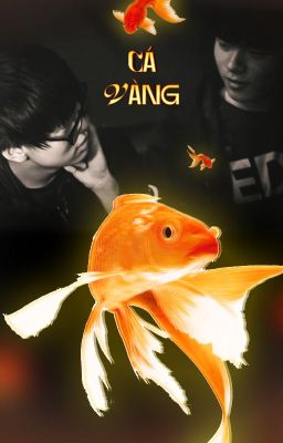 【Defiko】 Cá Vàng