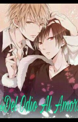 💢¿Del Odio Al Amor?❤ (Shizaya)