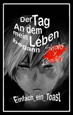 Der Tag an dem mein Leben begann (Shoto Todoroki x Reader)