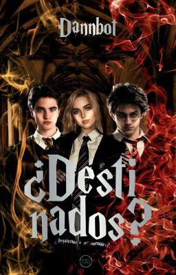 ¿Destinados? (Harry Potter y Tú)