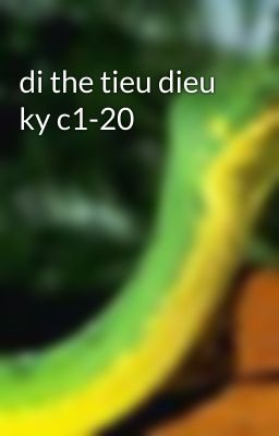 di the tieu dieu ky c1-20