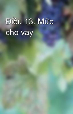 Điều 13. Mức cho vay