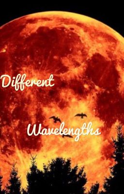 Different Wavelengths- (boyxboy)