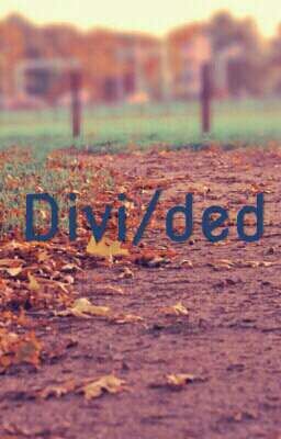 Divided{individual h+nh roleplay}