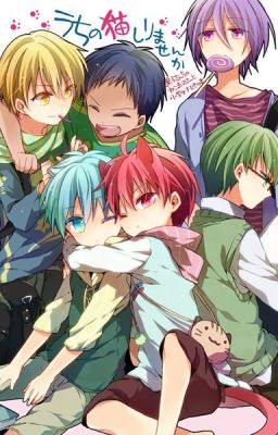 ( ĐN Kuroko no basket) Nhịp điệu bóng rổ