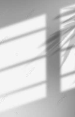 [ Đn | Wind breaker ] Ánh sáng ô cửa sổ