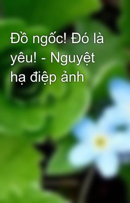 Đồ ngốc! Đó là yêu! - Nguyệt hạ điệp ảnh