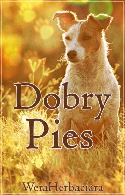 Dobry Pies