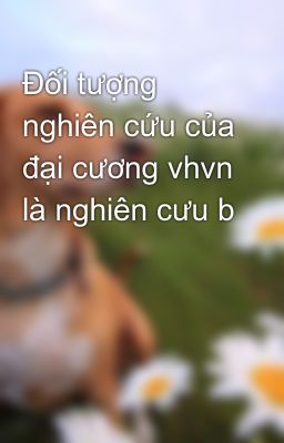 Đối tượng nghiên cứu của đại cương vhvn là nghiên cưu b