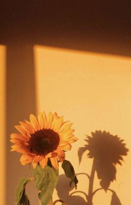 [Đồng Nhân BSD] Ｓｕｎｆｌｏｗｅｒ   