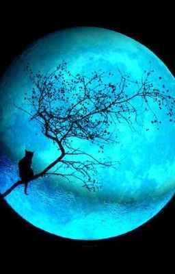 [Đồng Nhân HP] Blue Moon - Vị thần thứ ba [DROP]
