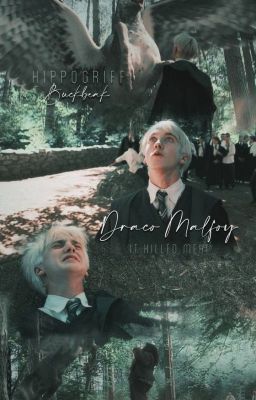 [Draco Malfoy x You] Mối tình đầu của nàng Kim Ngưu