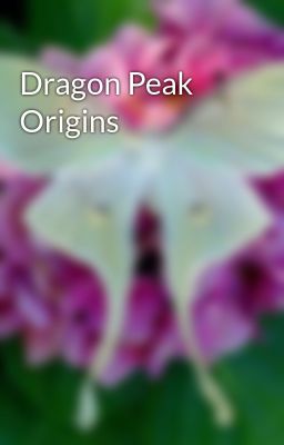 Dragon Peak Origins 