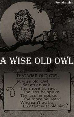 [DraHar] A wise old owl