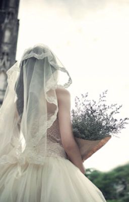 DREAM WEDDING DRESSESS