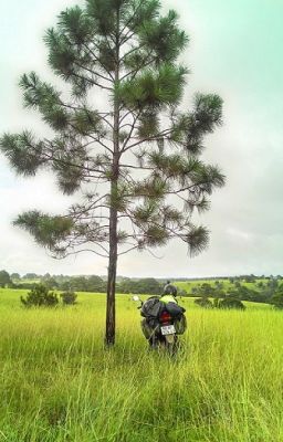 [Du Ký] 47 ngày, 7000km vòng quanh Cambodia-Laos-Vietnam một mình bằng xe máy.