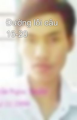 Đường lối câu 16-20