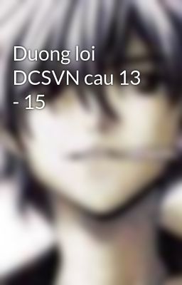 Duong loi DCSVN cau 13 - 15