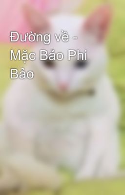 Đường về - Mặc Bảo Phi Bảo 