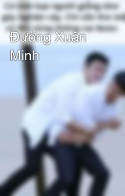 Đường Xuân Minh