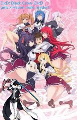 DxD: Black Crow (DxD girls x Raven male Reader)