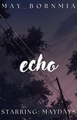 Echo » skz x maydays