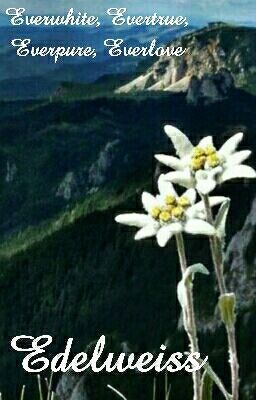 Edelweiss