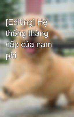 [Editing] Hệ thống thăng cấp của nam phi