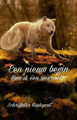 Een nieuw begin