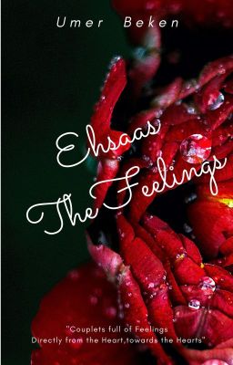 Ehsaas- The Feelings