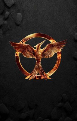 Eisige Tränen~Tribute Von Panem (MMFF)