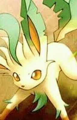 El Harem De Leafeon