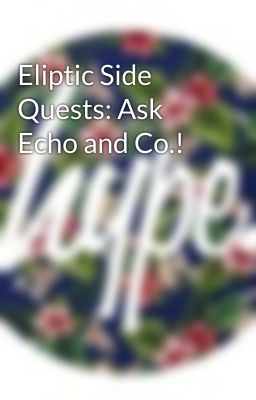 Eliptic Side Quests: Ask Echo and Co.!