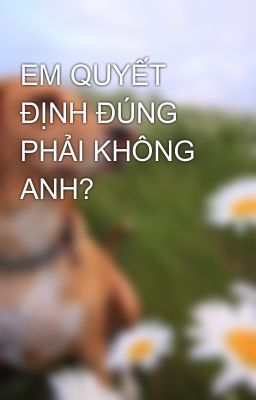 EM QUYẾT ĐỊNH ĐÚNG PHẢI KHÔNG ANH?